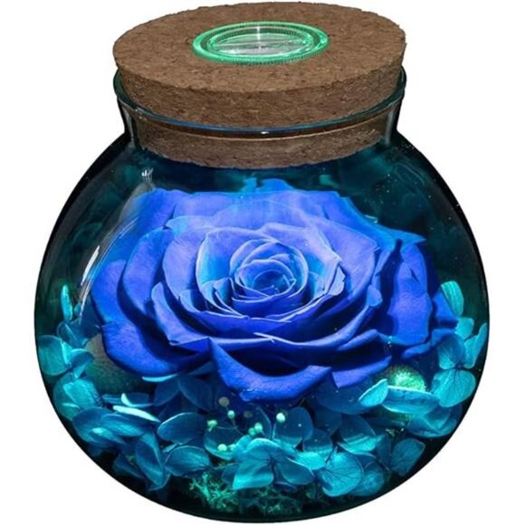 Preserved Real Roses with Colorful Mood Light Wishing Bottle, Eternal - Picture 7 of 14